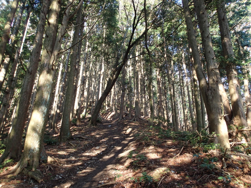f:id:s-field0808:20140410160940j:image:w360 f:id:s-field0808:20140410160940j:image:w360