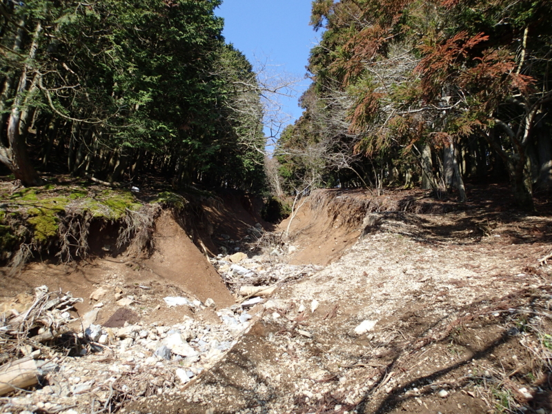 f:id:s-field0808:20140410161025j:image:w360 f:id:s-field0808:20140410161025j:image:w360