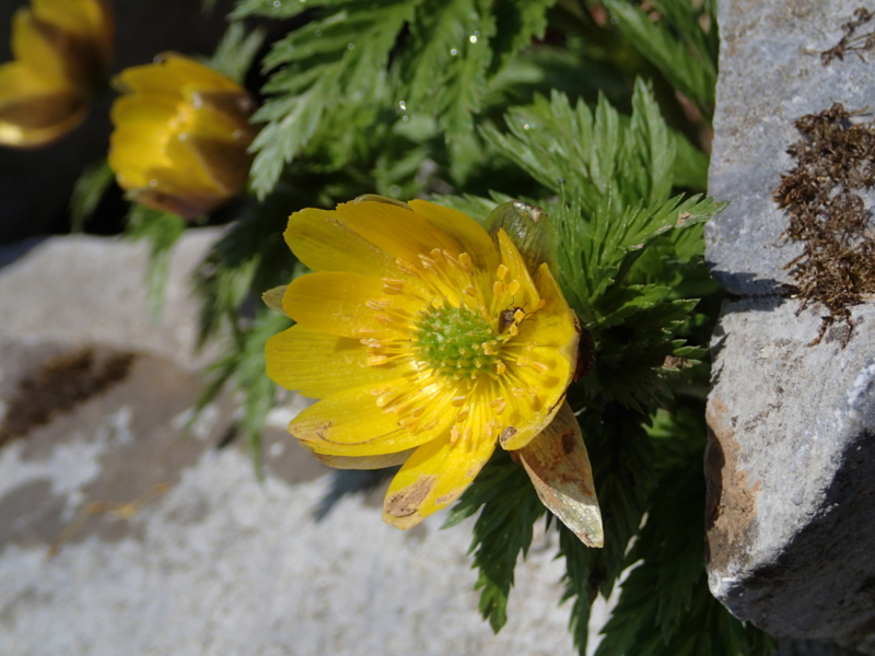 f:id:s-field0808:20140410162505j:image:w360 f:id:s-field0808:20140410162505j:image:w360