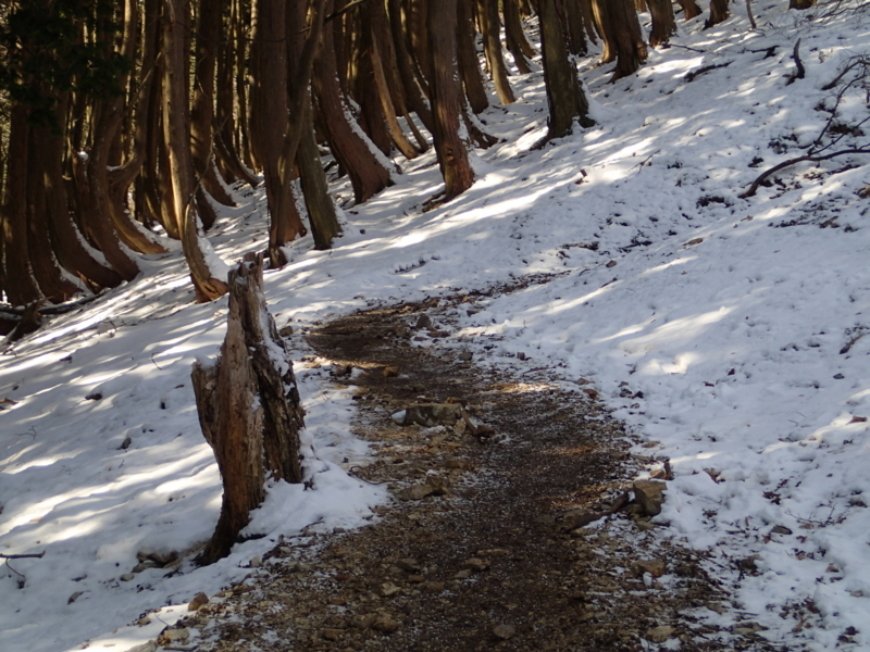 f:id:s-field0808:20140410162810j:image:w360 f:id:s-field0808:20140410162810j:image:w360