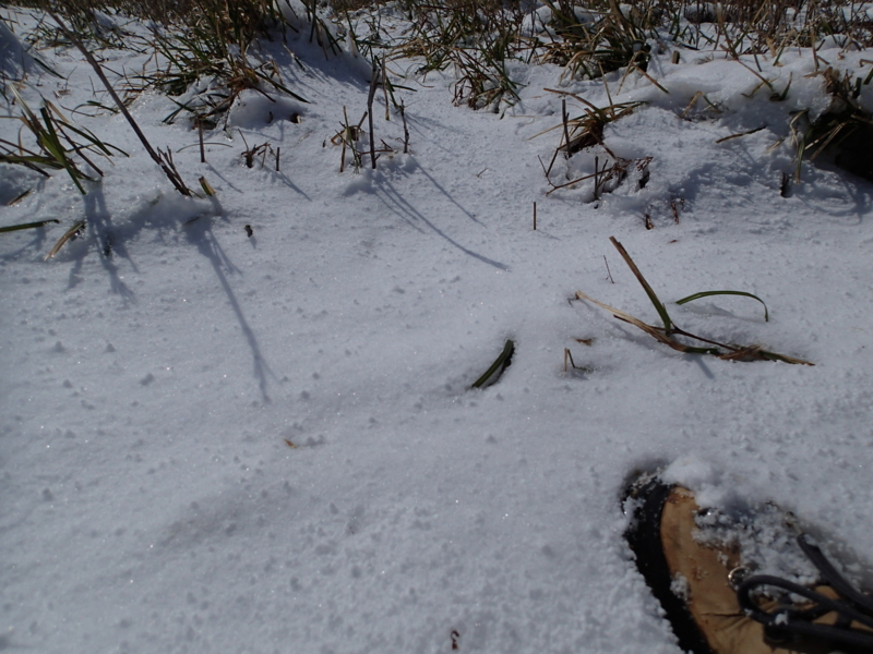 f:id:s-field0808:20140410163705j:image:w360 f:id:s-field0808:20140410163705j:image:w360