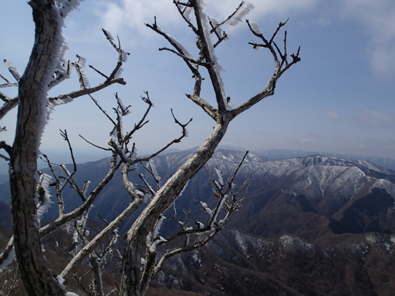 f:id:s-field0808:20140410164708j:image:w360 f:id:s-field0808:20140410164708j:image:w360