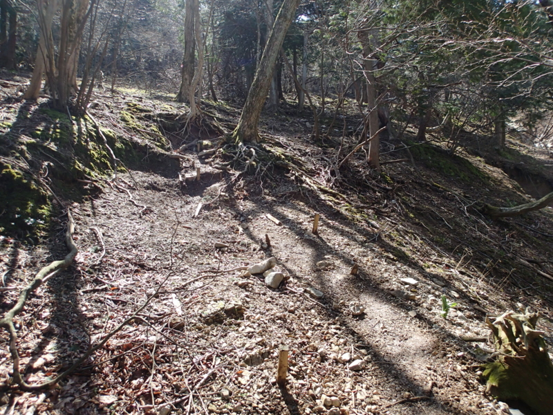 f:id:s-field0808:20140410164940j:image:w360 f:id:s-field0808:20140410164940j:image:w360