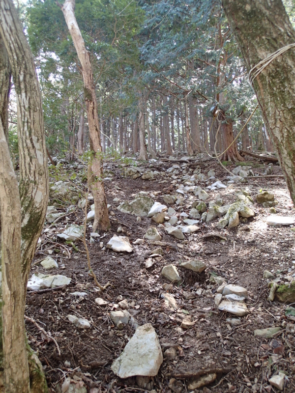 f:id:s-field0808:20140410165111j:image:w360 f:id:s-field0808:20140410165111j:image:w360