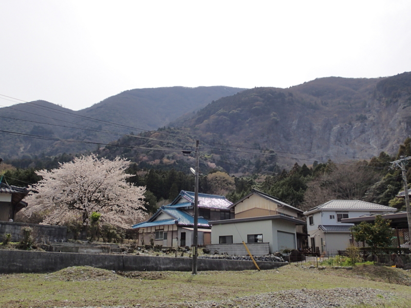 f:id:s-field0808:20140410170305j:image:w360 f:id:s-field0808:20140410170305j:image:w360