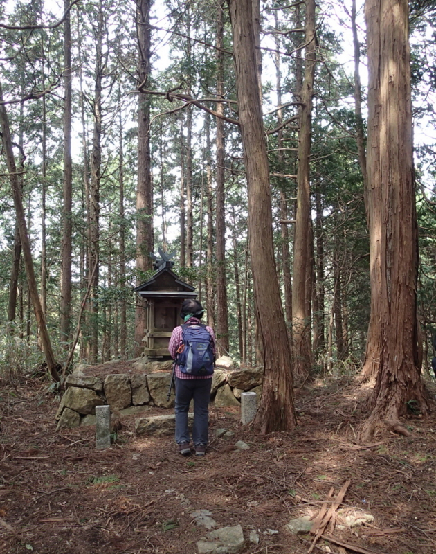 f:id:s-field0808:20140415113420j:image:w360 f:id:s-field0808:20140415113420j:image:w360
