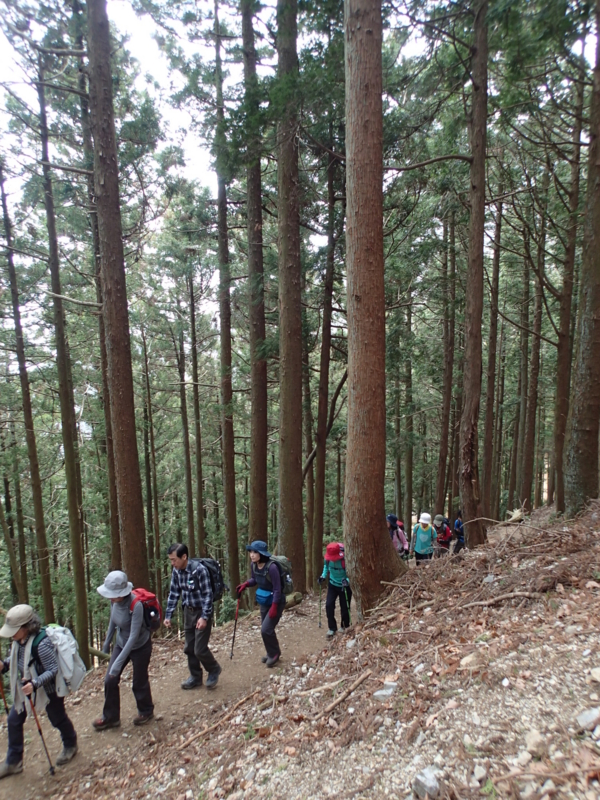 f:id:s-field0808:20140418110217j:image:w360 f:id:s-field0808:20140418110217j:image:w360