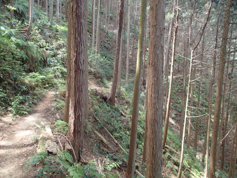 f:id:s-field0808:20140508103134j:image:w360 f:id:s-field0808:20140508103134j:image:w360