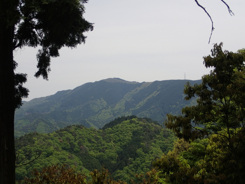 f:id:s-field0808:20140508105245j:image:w360 f:id:s-field0808:20140508105245j:image:w360