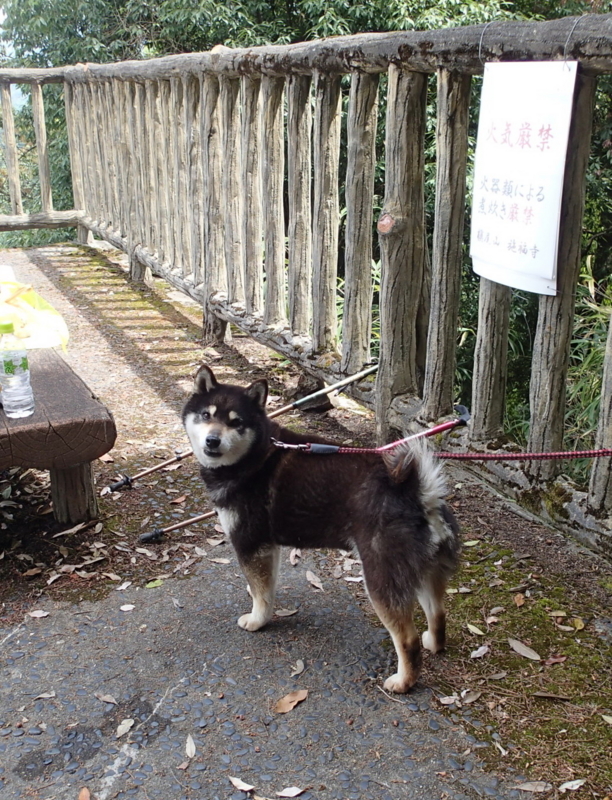 f:id:s-field0808:20140508105653j:image:w360 f:id:s-field0808:20140508105653j:image:w360