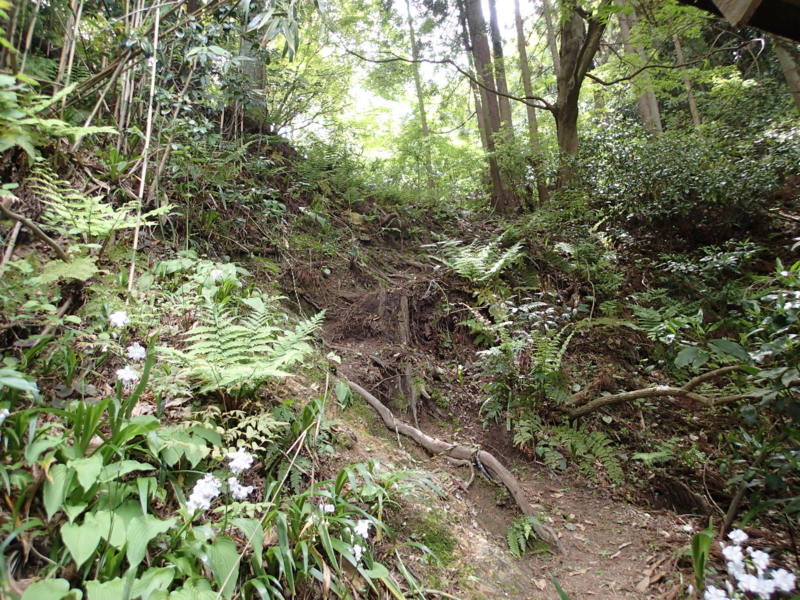f:id:s-field0808:20140508110251j:image:w360 f:id:s-field0808:20140508110251j:image:w360