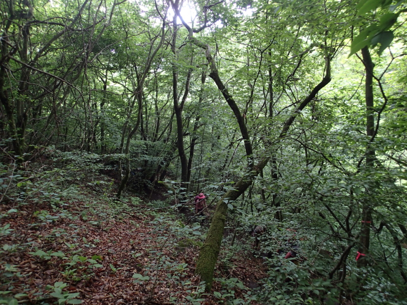 f:id:s-field0808:20140609095723j:image:w360