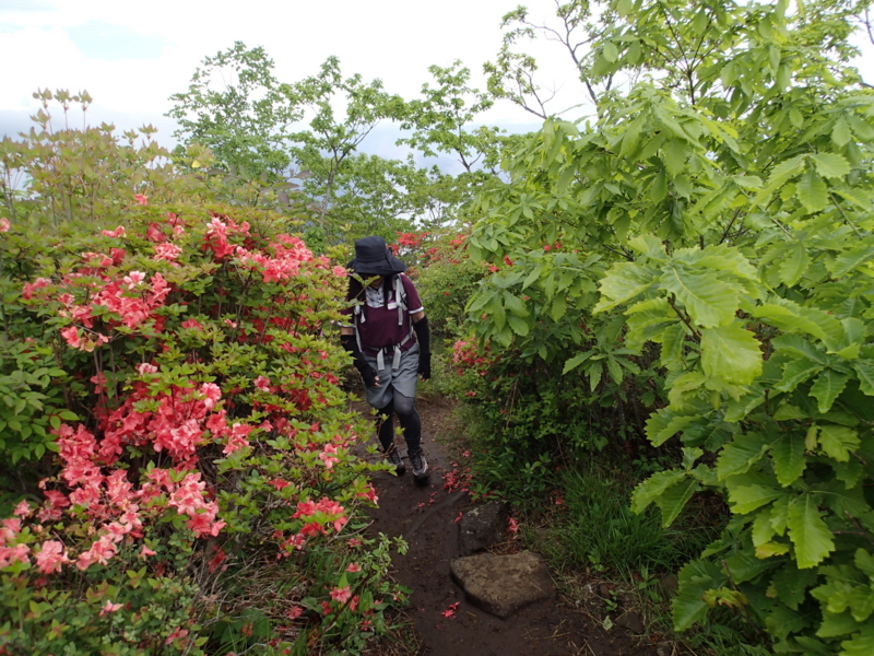 f:id:s-field0808:20140609100118j:image:w360