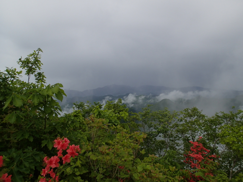 f:id:s-field0808:20140609100257j:image:w360
