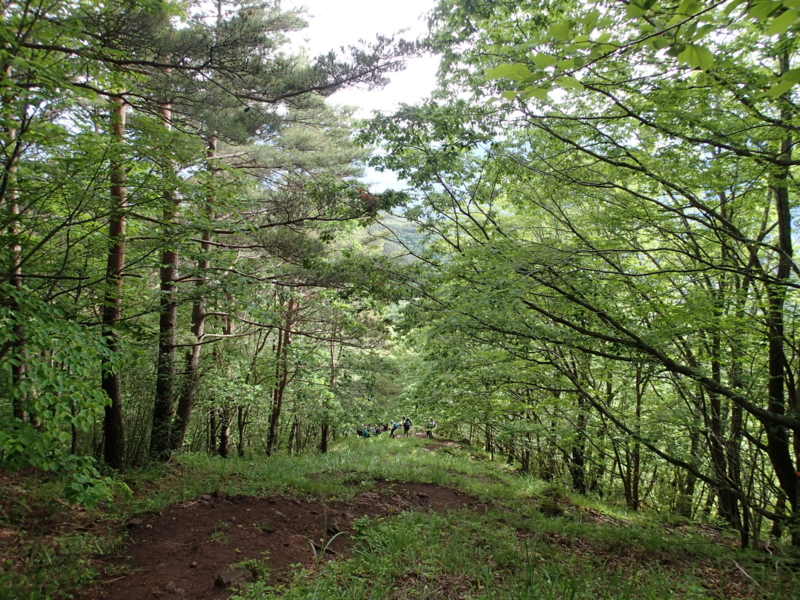 f:id:s-field0808:20140609110904j:image:w360