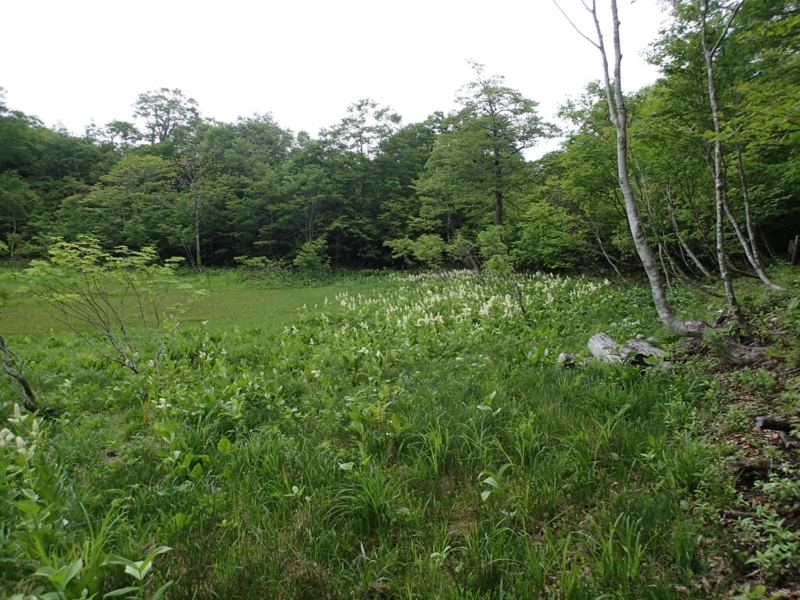 f:id:s-field0808:20140612123653j:image:w360