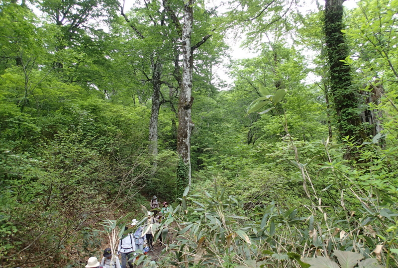 f:id:s-field0808:20140612125917j:image:w360