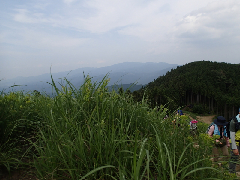 f:id:s-field0808:20140616095147j:image:w360