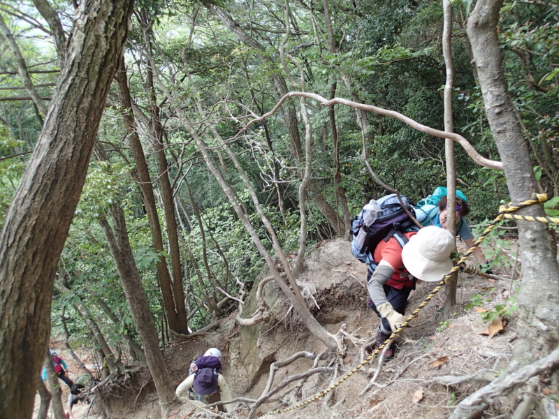 f:id:s-field0808:20140618192028j:image:w360 f:id:s-field0808:20140618192028j:image:w360