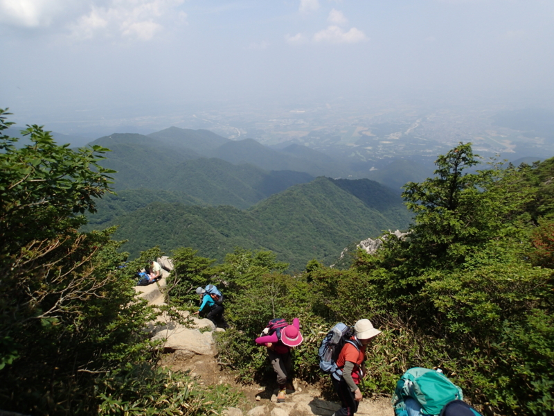 f:id:s-field0808:20140618193801j:image:w360 f:id:s-field0808:20140618193801j:image:w360