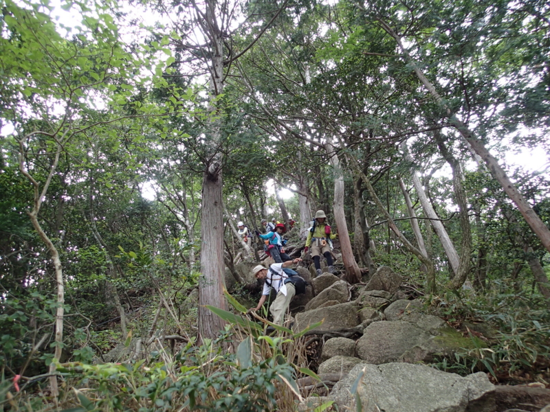 f:id:s-field0808:20140618194936j:image:w360 f:id:s-field0808:20140618194936j:image:w360