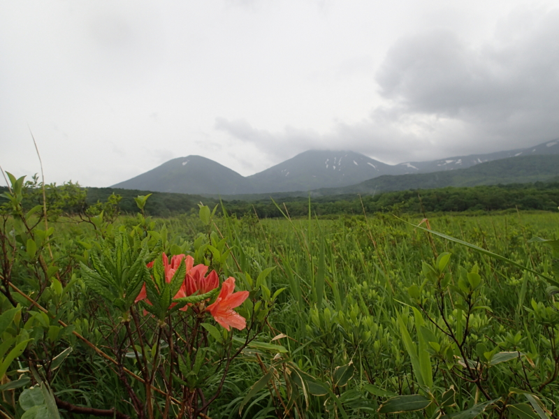 f:id:s-field0808:20140619073436j:image:w360
