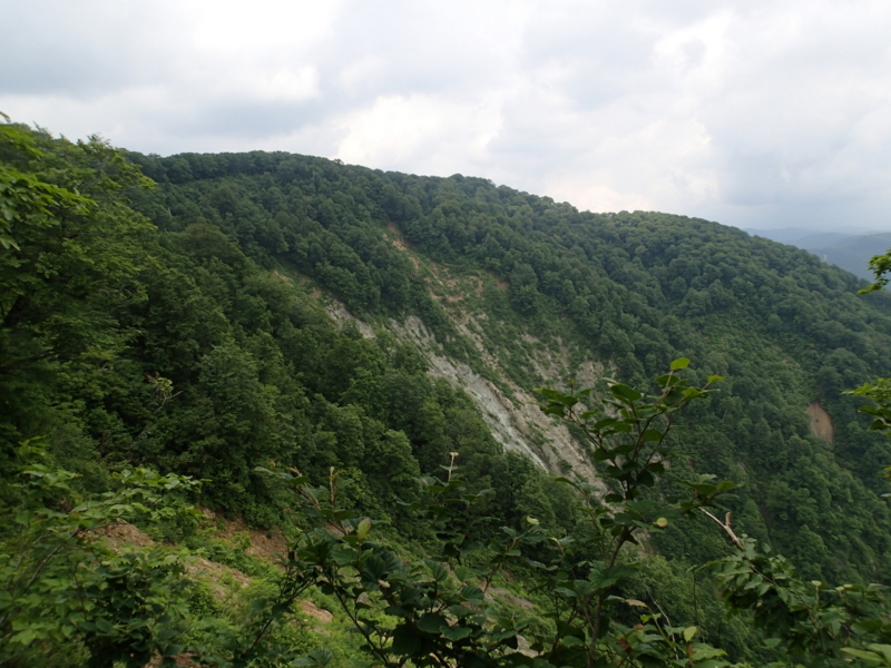 f:id:s-field0808:20140620195312j:image:w360 f:id:s-field0808:20140620195312j:image:w360