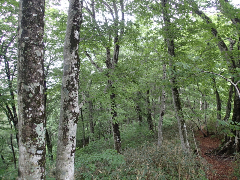 f:id:s-field0808:20140620195608j:image:w360 f:id:s-field0808:20140620195608j:image:w360