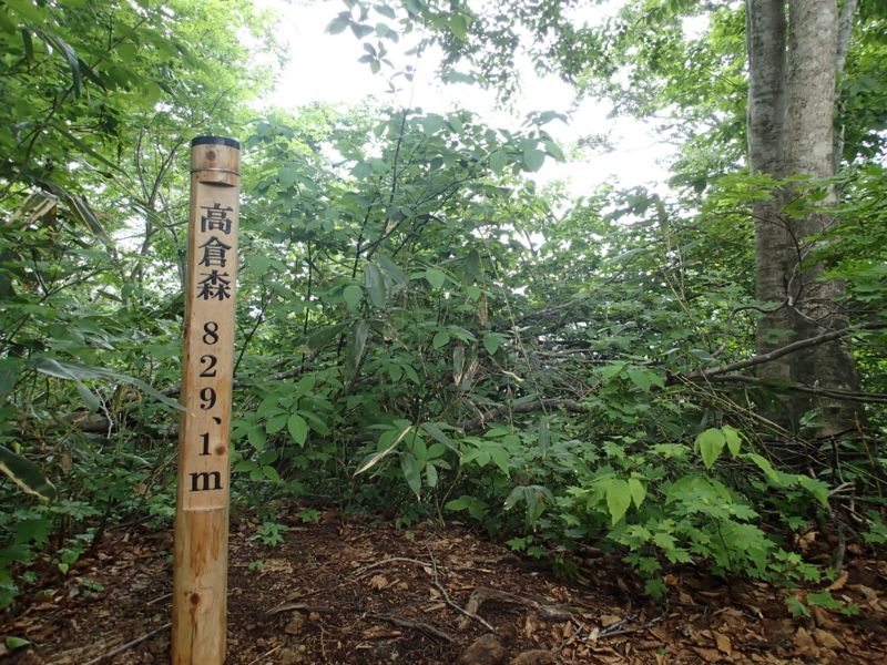 f:id:s-field0808:20140620200549j:image:w360 f:id:s-field0808:20140620200549j:image:w360