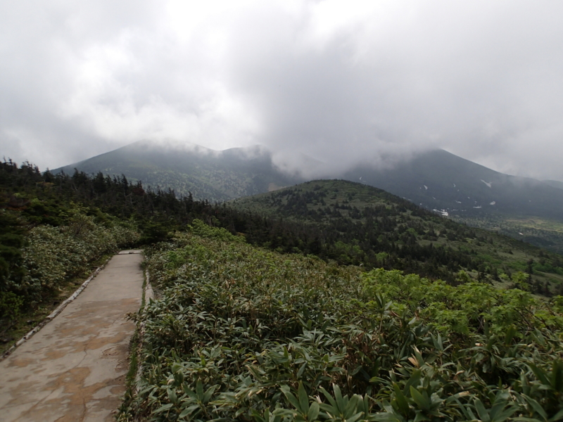 f:id:s-field0808:20140620210157j:image:w360