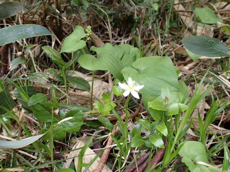 f:id:s-field0808:20140620210704j:image:w360