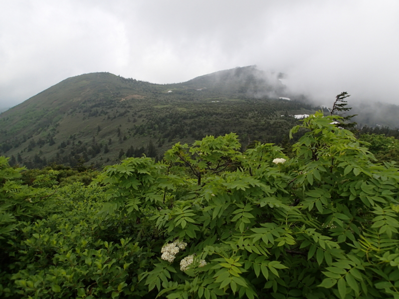 f:id:s-field0808:20140620211405j:image:w360