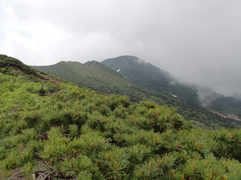 f:id:s-field0808:20140620212001j:image:w360