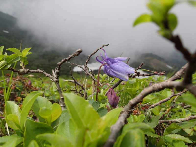 f:id:s-field0808:20140620212234j:image:w360