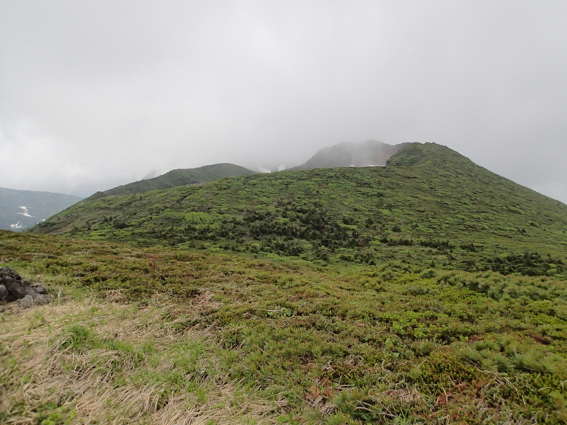 f:id:s-field0808:20140620212509j:image:w360