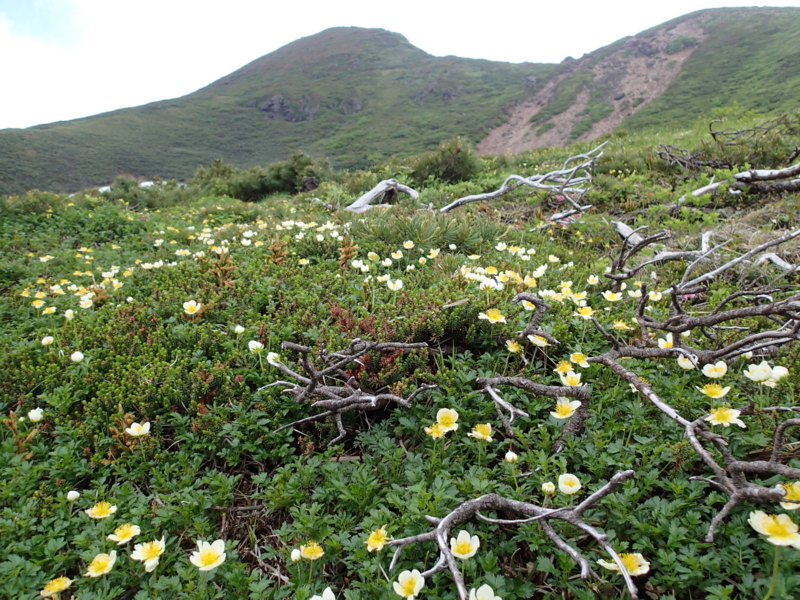 f:id:s-field0808:20140620213253j:image:w360