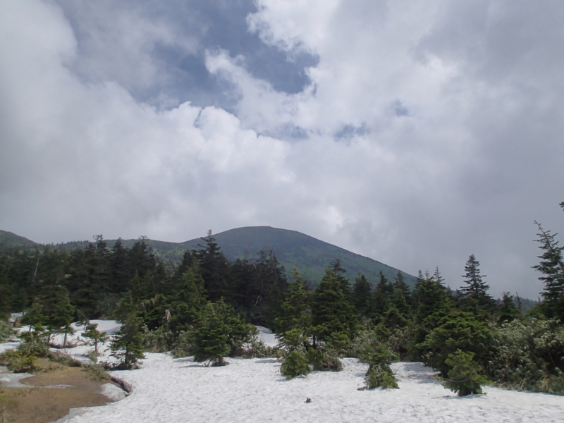 f:id:s-field0808:20140620213746j:image:w360