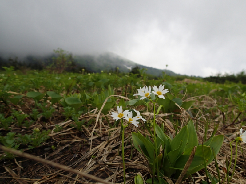 f:id:s-field0808:20140620213900j:image:w360