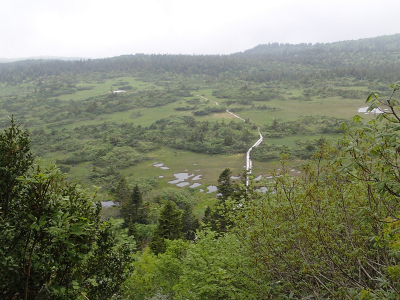 f:id:s-field0808:20140620214344j:image:w360