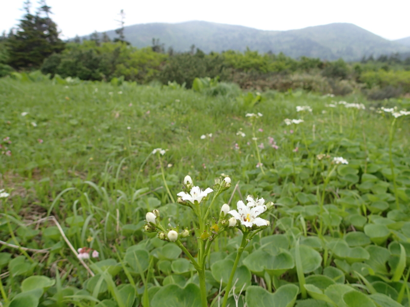 f:id:s-field0808:20140620214712j:image:w360