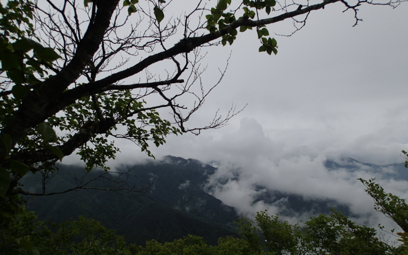 f:id:s-field0808:20140624191136j:image:w360