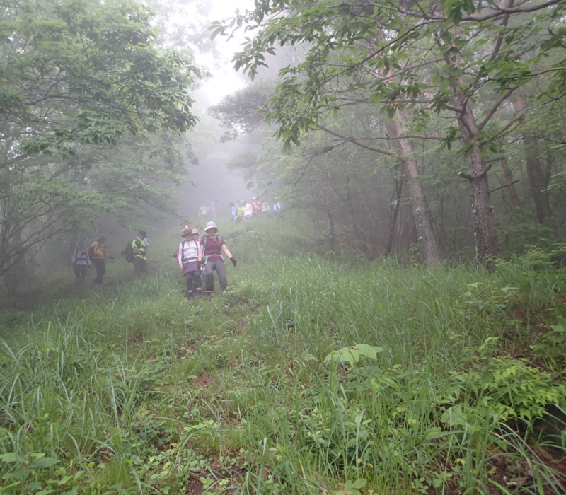 f:id:s-field0808:20140624191819j:image:w360