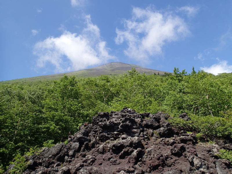 f:id:s-field0808:20140626183628j:image:w360