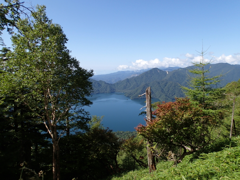 f:id:s-field0808:20140905120304j:image:w360