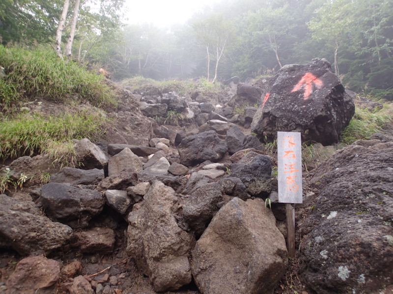f:id:s-field0808:20140905120750j:image:w360