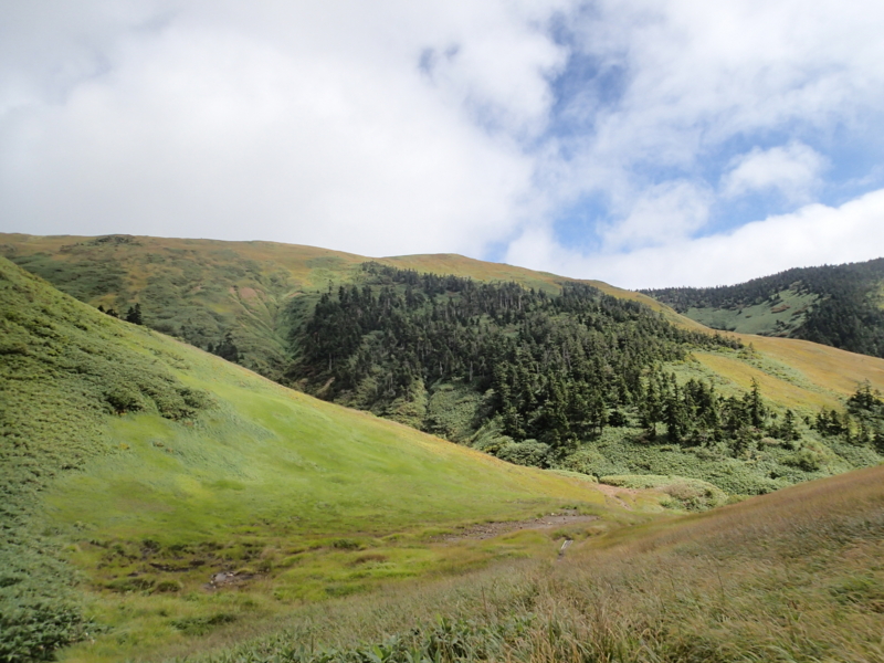 f:id:s-field0808:20140914084803j:image:w360