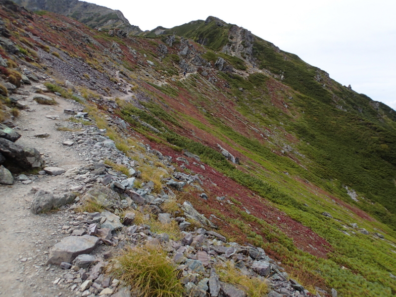 f:id:s-field0808:20140917124602j:image:w360