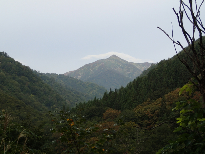 f:id:s-field0808:20141002194816j:image:w360