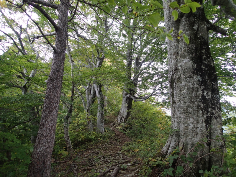 f:id:s-field0808:20141002195219j:image:w360