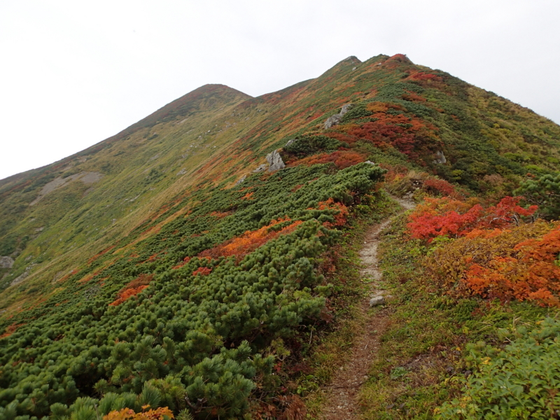 f:id:s-field0808:20141002195409j:image:w360